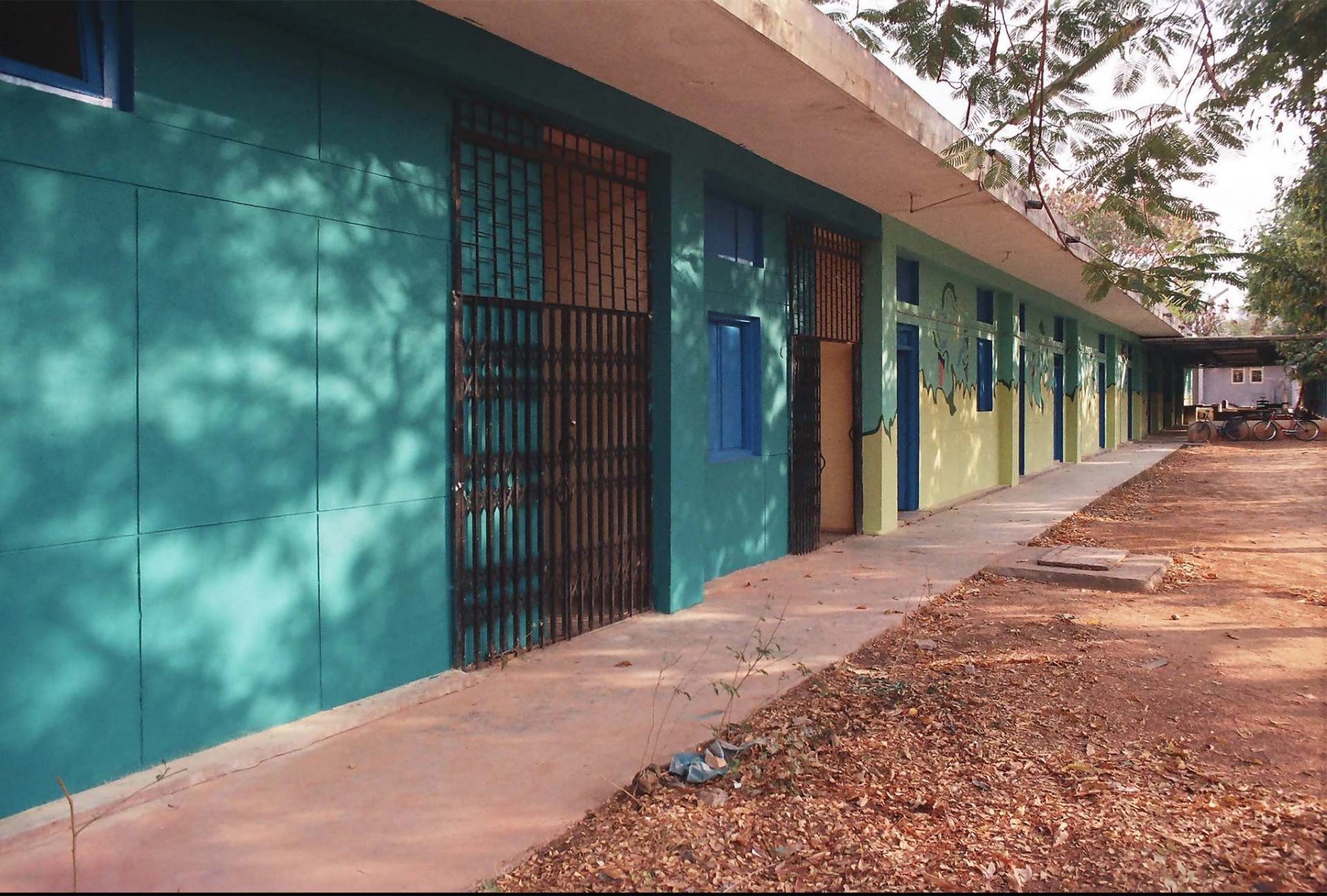 Potted Plants (2005) S.N. School of Fine Arts, University of Hyderabad, series of 9 walls each 3.5H x 5.8W meters, Hyderabad (India)