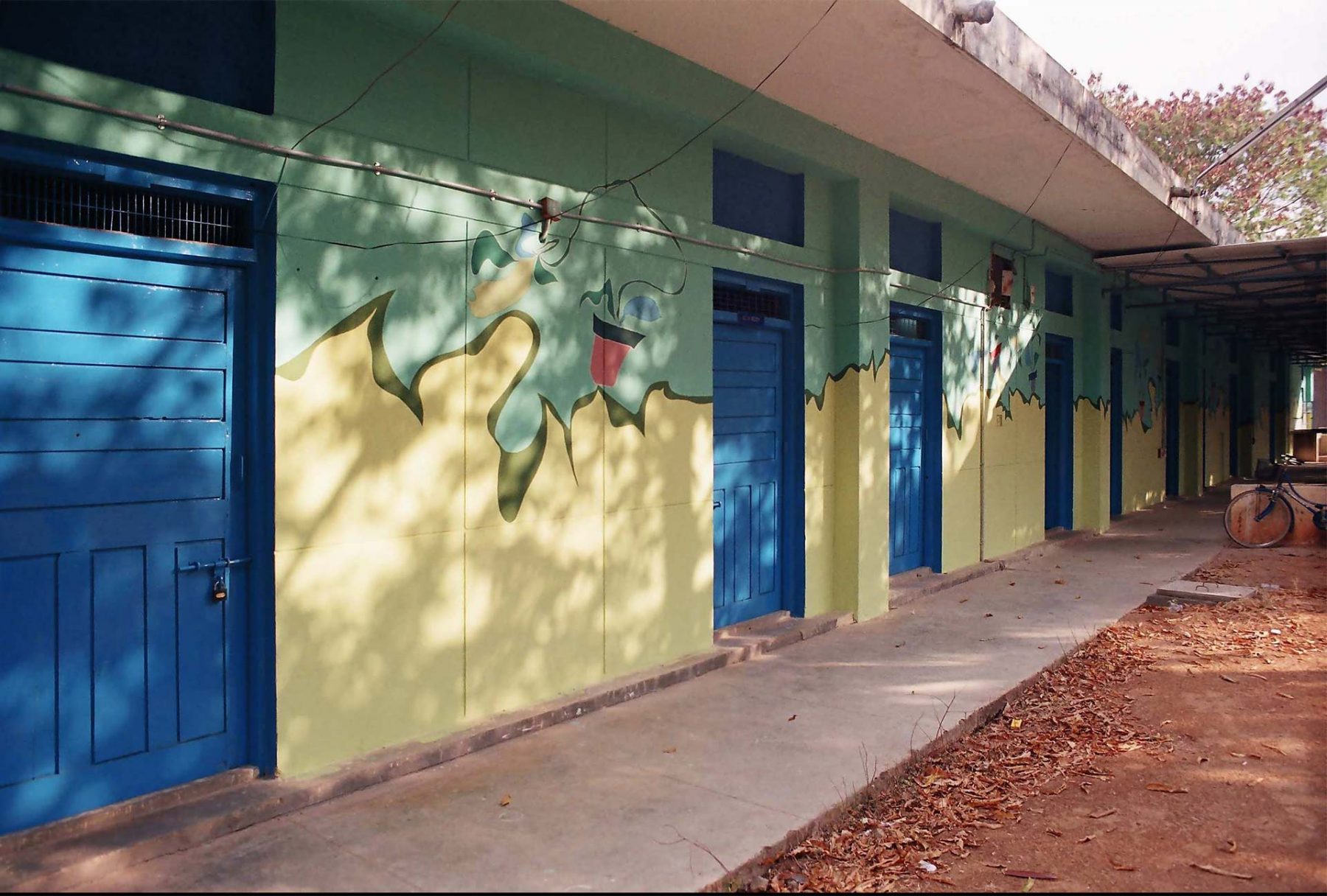 Potted Plants (2005) S.N. School of Fine Arts, University of Hyderabad, series of 9 walls each 3.5H x 5.8W meters, Hyderabad (India)