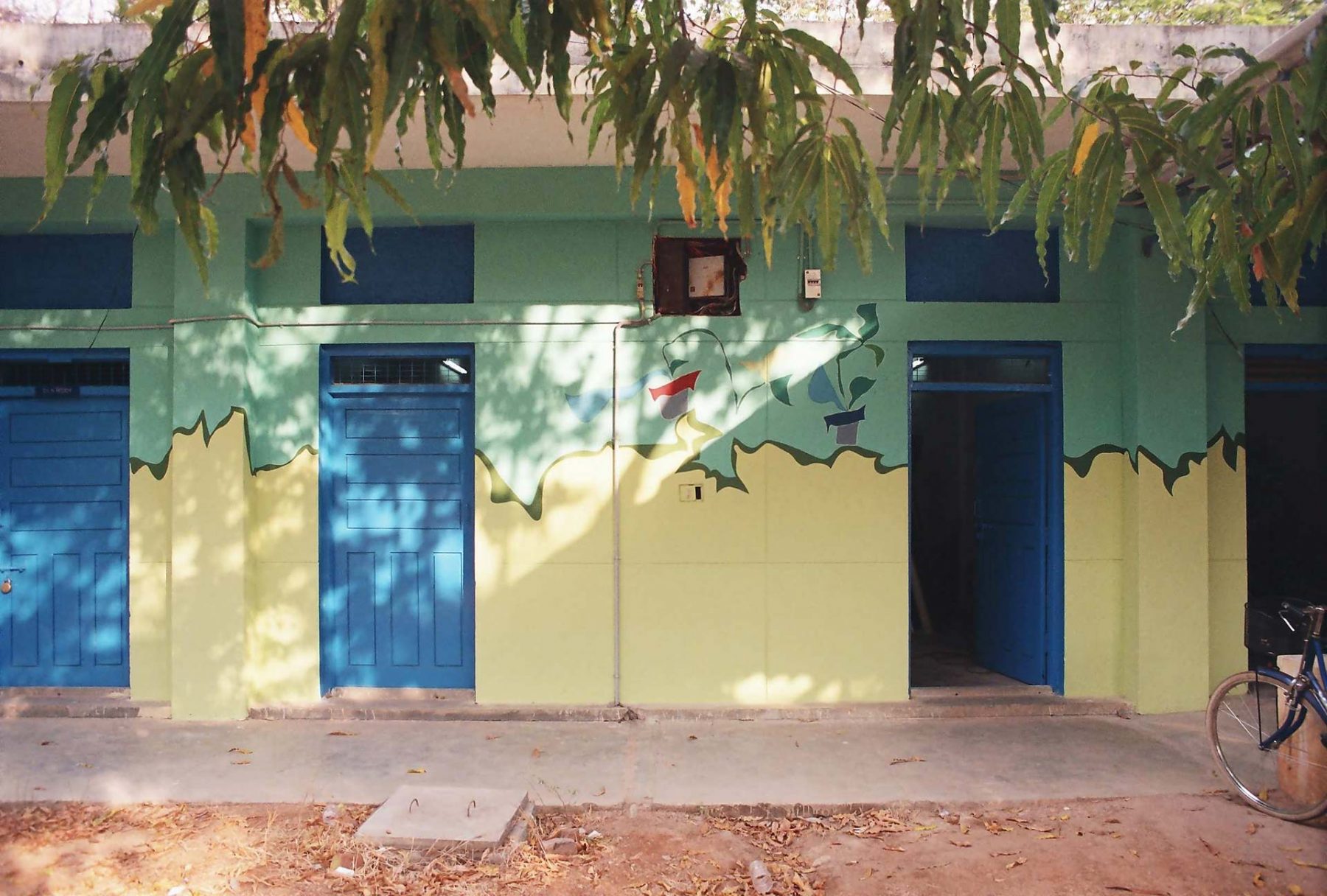 Potted Plants (2005) S.N. School of Fine Arts, University of Hyderabad, series of 9 walls each 3.5H x 5.8W meters, Hyderabad (India)