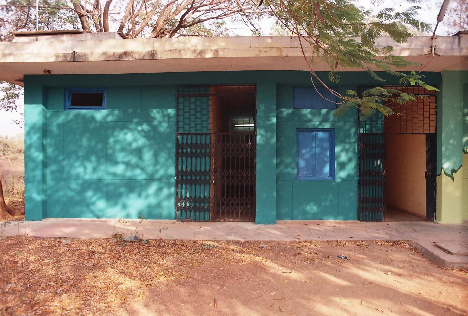 Potted Plants (2005) S.N. School of Fine Arts, University of Hyderabad, series of 9 walls each 3.5H x 5.8W meters, Hyderabad (India)