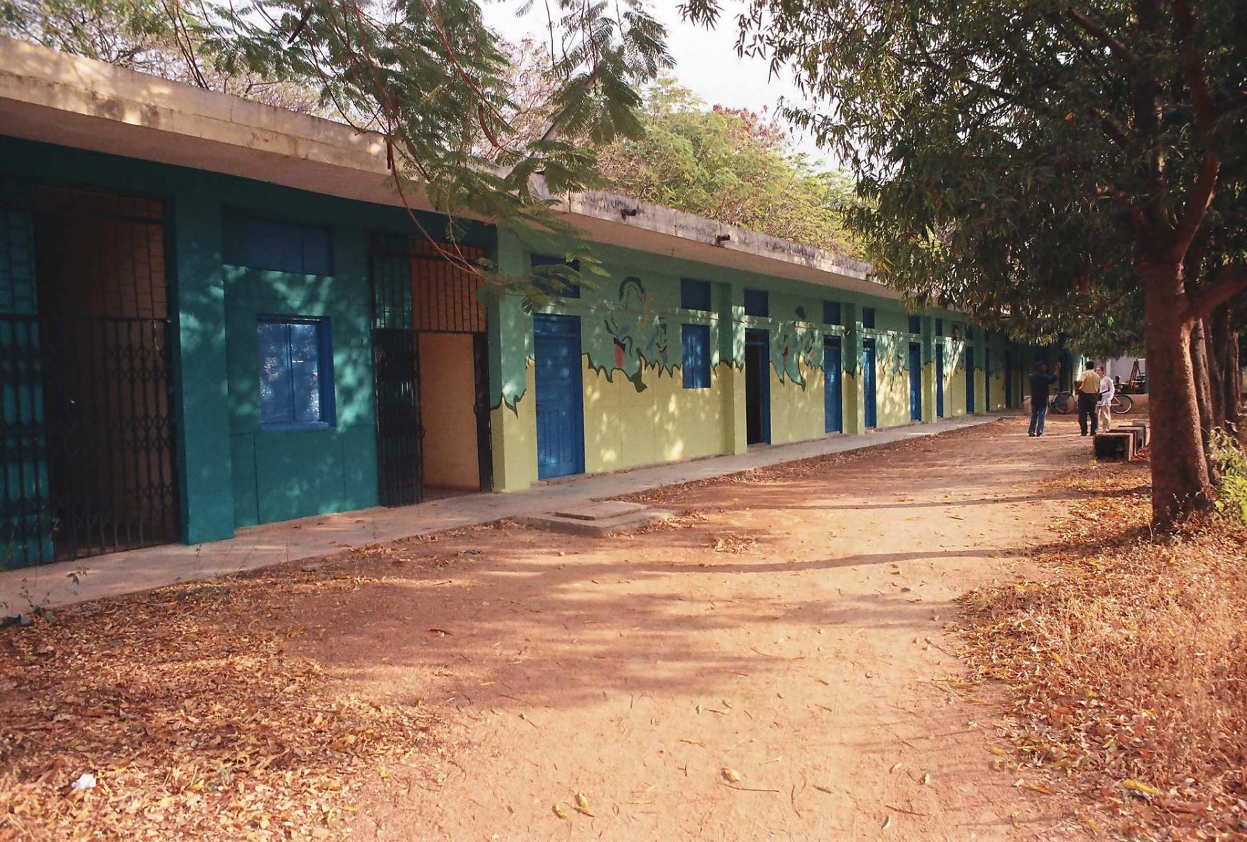 Potted Plants (2005) S.N. School of Fine Arts, University of Hyderabad, series of 9 walls each 3.5H x 5.8W meters, Hyderabad (India)