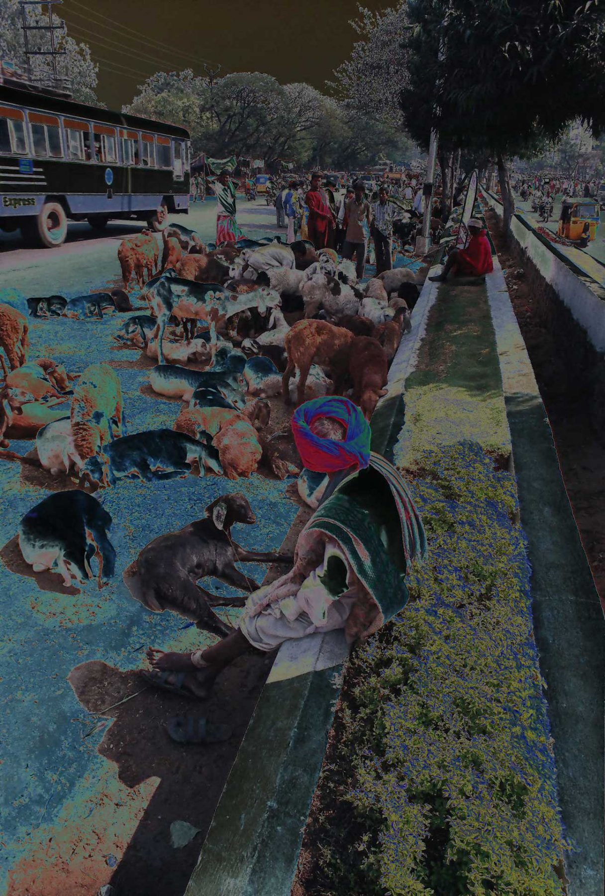 Flood in the Sky (Goats with Turban) (2005) photographic mixed media, 0.60H x 0.91W meters